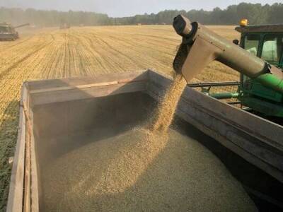 Украина предоставит госгарантии на кредиты аграриям на 20 млрд грн