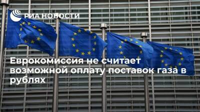 Еврокомиссар Кадри Симсон заявил, что ЕК не считает возможной оплату газа в рублях