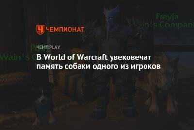 В World of Warcraft увековечат память собаки одного из игроков