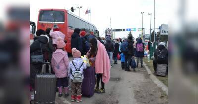 Що пропонують біженцям з України у різних країнах ЄС: житло, робота та соціальні гарантії