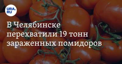 В Челябинске перехватили 19 тонн зараженных помидоров