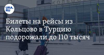 Билеты на рейсы из Кольцово в Турцию подорожали до 110 тысяч