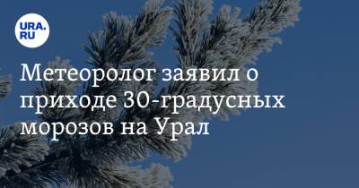 Метеоролог заявил о приходе 30-градусных морозов на Урал