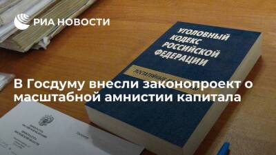 Правительство внесло в Госдуму законопроект о масштабной амнистии капитала