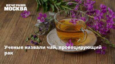 Ученые назвали чай, провоцирующий рак - vm.ru