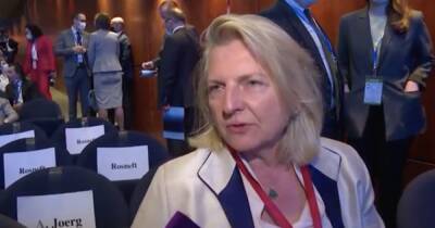 Экс-глава МИД Австрии дала совет Европе по переговорам с Россией