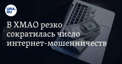 В ХМАО резко сократилась число интернет-мошенничеств. «Сall-центры находились на Украине»