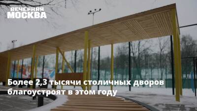 Петр Бирюков - Более 2,3 тысячи столичных дворов благоустроят в этом году - vm.ru - Москва - Благоустройство