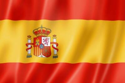 Испания пообещала поставить Украине наступательное оружие