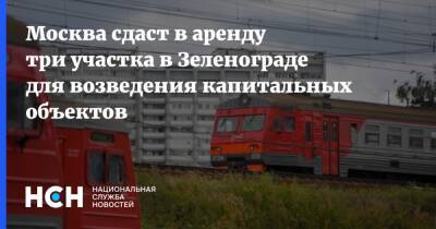 Москва сдаст в аренду три участка в Зеленограде для возведения капитальных объектов