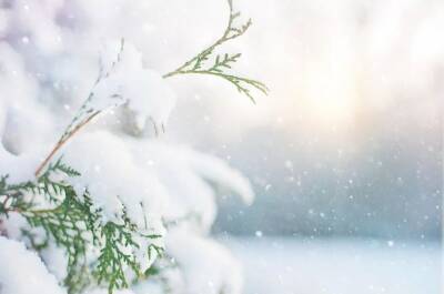 Татарстанские синоптики обещают возвращение зимней погоды