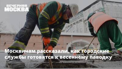 Москвичам рассказали, как городские службы готовятся к весеннему паводку