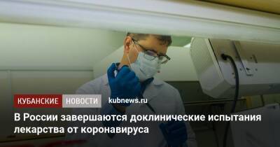 В России завершаются доклинические испытания лекарства от коронавируса