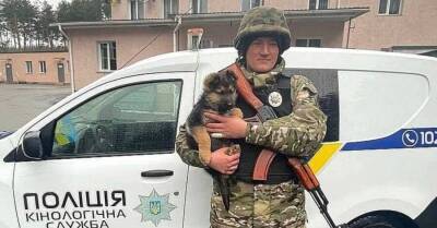 У кинологов Киева появился щенок Байрактар: предсказывает атаки российских войск