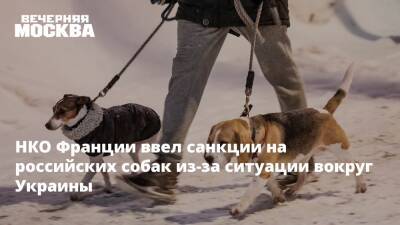 НКО Франции ввел санкции на российских собак из-за ситуации вокруг Украины