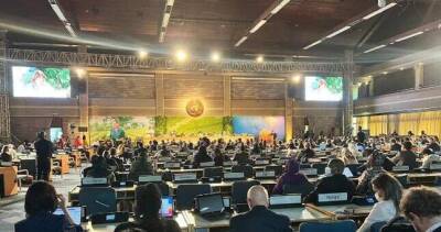 Глава Природоохранного ведомства Таджикистана выступил на 5-ой сессии Ассамблеи ООН по окружающей среде