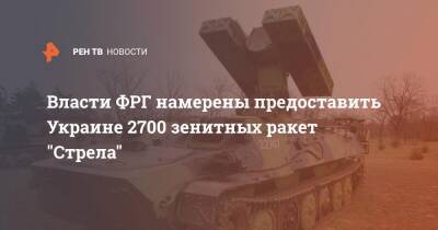 Власти ФРГ намерены предоставить Украине 2700 зенитных ракет "Стрела"