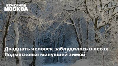 Олег Баженов - Двадцать человек заблудилось в лесах Подмосковья минувшей зимой - vm - Московская обл.