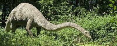 Динозавры с длинной шеей обладали уникальной походкой, похожей на походку бегемотов