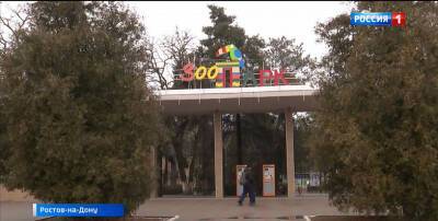 В Ростовском зоопарке снизилась стоимость билетов - DONTR.RU