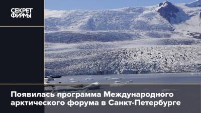 Появилась программа Международного арктического форума в Санкт-Петербурге