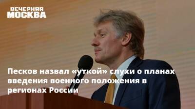 Песков назвал «уткой» слухи о планах введения военного положения в регионах России