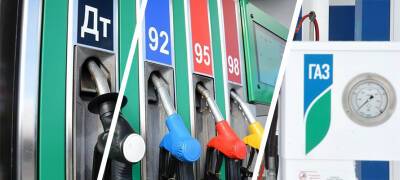 Бензин, солярка и газ: какое автомобильное топливо в Карелии дорожает быстрее остальных
