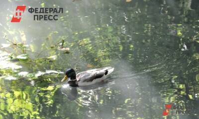 В Северо-Крымский канал пришла первая «святая украинская вода»