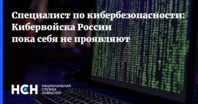 Специалист по кибербезопасности: Кибервойска России пока себя не проявляют