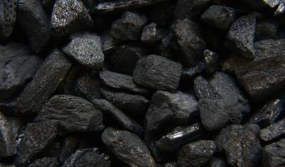 Независимый эксперт Плявиньш объяснил рост цен на уголь в Европе