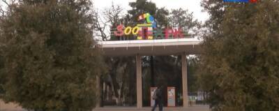 Цена входного билета в ростовский зоопарк снизилась до 400 рублей