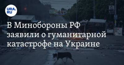 В Минобороны РФ заявили о гуманитарной катастрофе на Украине