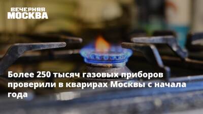 Более 250 тысяч газовых приборов проверили в кварирах Москвы с начала года
