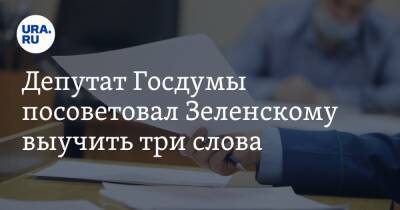 Депутат Госдумы посоветовал Зеленскому выучить три слова