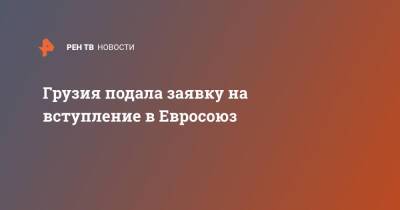 Грузия подала заявку на вступление в Евросоюз