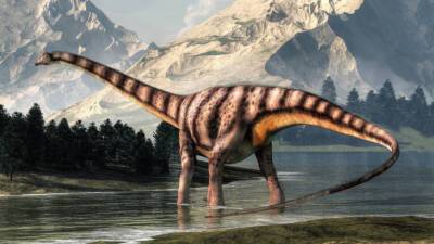 Ученые выяснили особенности походки длинношеих динозавров