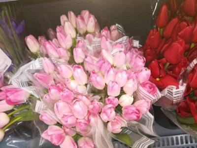 В Новосибирске тюльпаны к 8 марта продают за 199 рублей