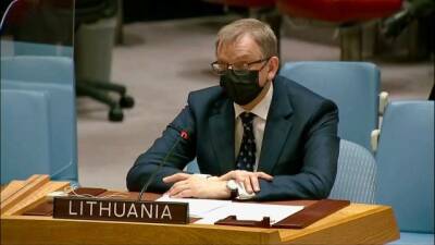 Ми хочемо, щоб РФ утрималась від права вето в ООН по Україні, — представник Литви в ООН