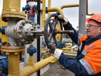 Украина подставила поддержавшую ее Европу: из-за решения о запрете экспорта топлива цены на газ резко взлетят