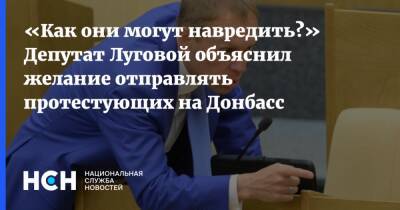 «Как они могут навредить?» Депутат Луговой объяснил желание отправлять протестующих на Донбасс