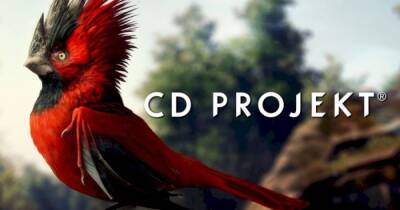 Разработчик игр CD Project Group прекращает продажи в России и Беларуси
