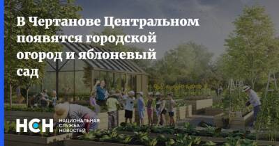 В Чертанове Центральном появятся городской огород и яблоневый сад