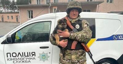 У полицейских Ирпени появился щенок овчарки по кличке Байрактар (фото)