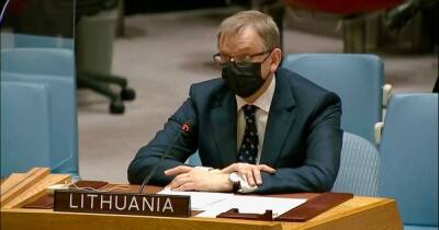 Мы хотим, чтобы РФ воздержалась от права вето в ООН по Украине, – представитель Литвы в ООН