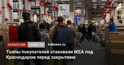Толпы покупателей атаковали IKEA под Краснодаром перед закрытием