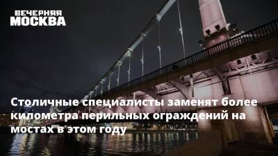 Столичные специалисты заменят более километра перильных ограждений на мостах в этом году - vm.ru - Москва