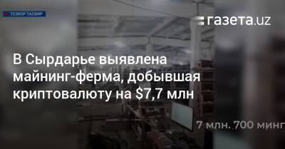 В Сырдарье выявлена майнинг-ферма, добывшая криптовалюту на $7,7 млн
