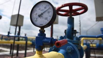 Песков напомнил о сроках представления Путину предложений по оплате за газ в рублях