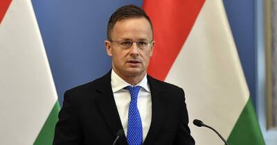 МИД Венгрии обвинил Киев во вмешательстве в выборы и намекнул, что "слушает" разговоры украинского посла