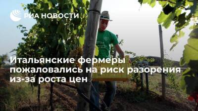 Ассоциация Coldiretti: сто тысяч ферм в Италии могут разориться из-за кризиса на Украине